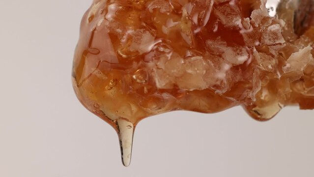 Thick golden yellow Honey slowly dripping from hexagonal wax honeycomb on white background