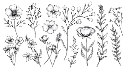 Fotobehang Set of hand drawn botanical flowers, branches and leaves. Trendy sketch elements of wild and garden plants in line art style. illustration on white background. Generative Ai © mahaart