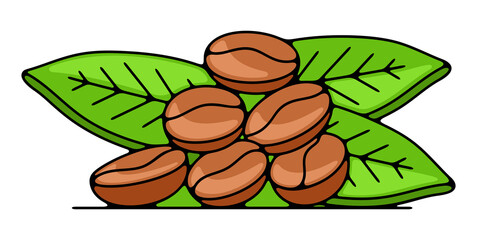 Roasted coffee beans with leaves, plant and nature. Food, hot drink, beverage, cafes, coffee house and coffee shop, illustration