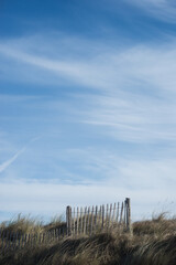 view of wooden fence on the beach on blue sky background - 751337141