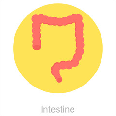 Intestine