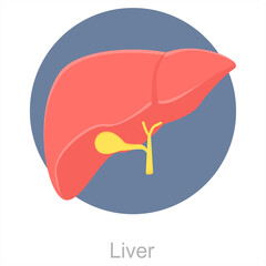 Liver