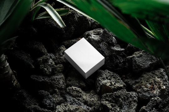Box packaging branding mockup template, real photo, set amidst the stone rocks backdrop of tropical nature environment. Blank isolated object to place your design. 