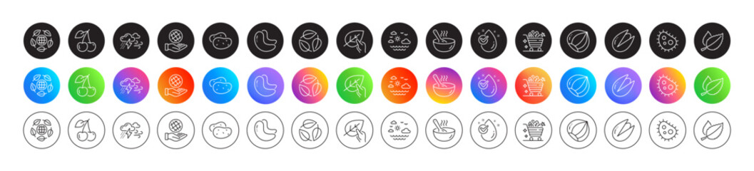 Potato, Leaves and Organic tested line icons. Round icon gradient buttons. Pack of Safe planet, Water drop, Cashew nut icon. Cherry, Eco organic, Mint leaves pictogram. Vector