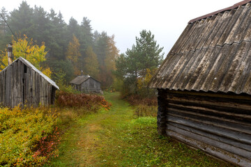 Old abandoned wooden houses in the autumn forest.