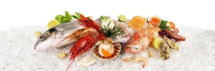 Fish and Sea Food on Ice with Caviar, Mussels, Oysters, Scallop and Vegetables - Side View Banner...
