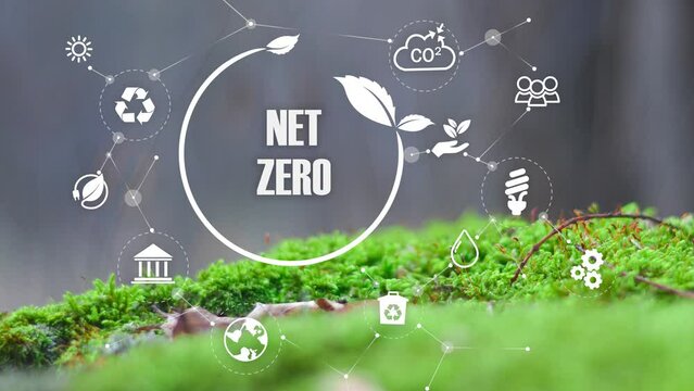 Net zero , carbon neutral concept. Net zero greenhouse gas emissions target 2050. Climate neutral long term strategy 2050 with net zero polygonal icons on closeup greennature background.4k video