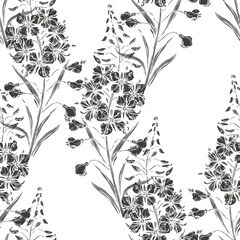 Fireweed, willow herb. Floral seamless pattern. Black flower silhouettes  on white.  Vector. Perfect for design templates, wallpaper, wrapping, fabric and textile, print. - 751350564