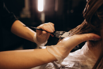 A professional hairdresser, a girl of European appearance, a brown-haired woman, paints the...