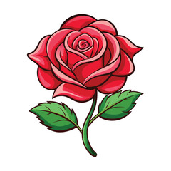 Rose flower Illustration on White Background