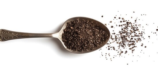 A teaspoon is filled with a scoop of black seed against a white background. The black seeds are neatly contained within the spoon.