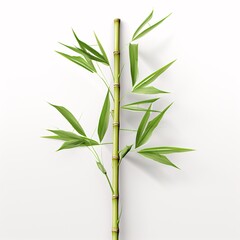a bamboo stem with leaves