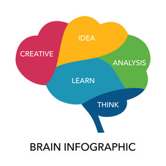 Part of human brain. Brain Infographic concept. - obrazy, fototapety, plakaty