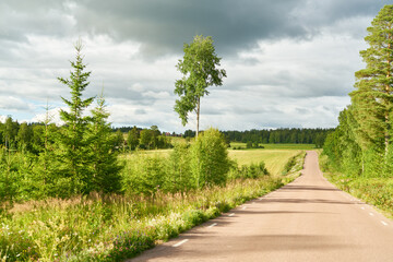 Fototapeta na wymiar Small country road in Sweden in summer