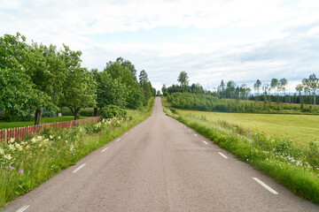 Fototapeta premium Clear path with contry road and meadow in Sweden in summer