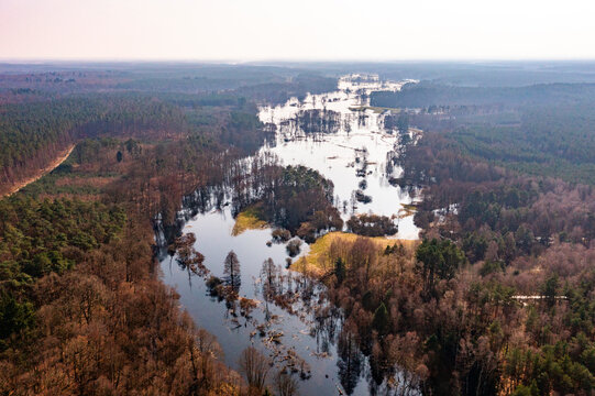 Flooded fields, meadows and forests during excessive rainfall. A river flooding fields and forests, view from a drone..