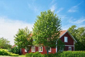 Red Scandinavian house with garden in summer in Sweden