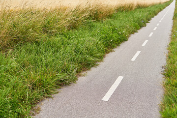 Bike lane in grass with road markings next to field