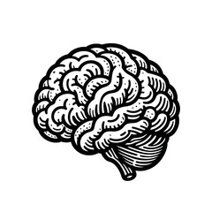 Brain isolated vector illustration