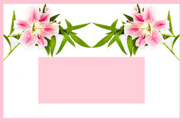 Delicate pink lily flowers isolated on a white. Collage. There is free space for text.