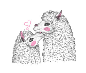 Vector illustration of two cute alpacas mother and daughter in engraving style