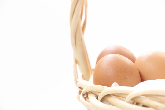 egg