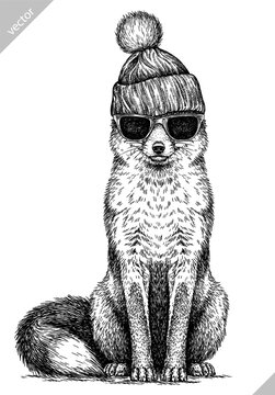 Vintage engraving isolated fox glasses dressed fashion set illustration ink sketch. Wild animal background foxy animal silhouette sunglasses hipster hat art. Black and white hand drawn vector image