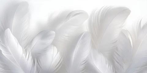 Fotobehang white feathers background © zahida