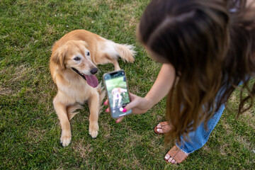 Woman taking a photo of a golden retriever with a smart phone