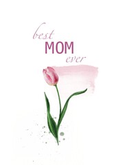 Fototapeta premium pink flower on white for mom