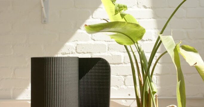 A green plant sits next to a black ribbed chair against a white brick wall with copy space