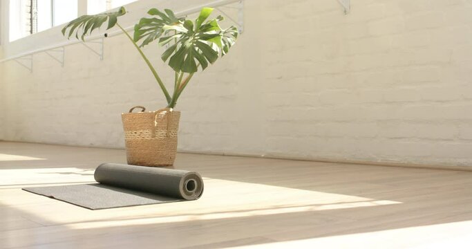 A rolled yoga mat awaits use next to a wicker basket with a green plant, with copy space
