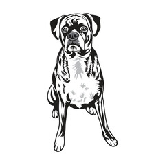 A playful dog in black and white vector illustration