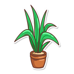 Home plant cartoon style. potted plant isolated on white