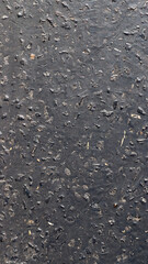 rain drops on the ground