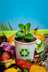 Compost and composted soil cycle as a composting pile of rotting kitchen scraps with fruits and...