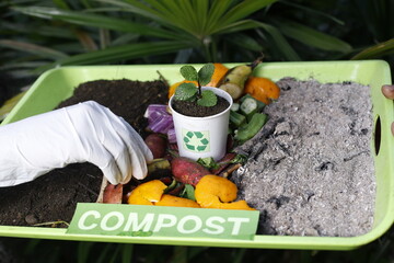Compost and composted soil cycle as a composting pile of rotting kitchen scraps with fruits and...