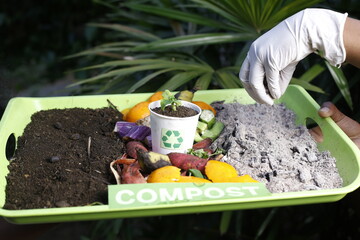 Compost and composted soil cycle as a composting pile of rotting kitchen scraps with fruits and...
