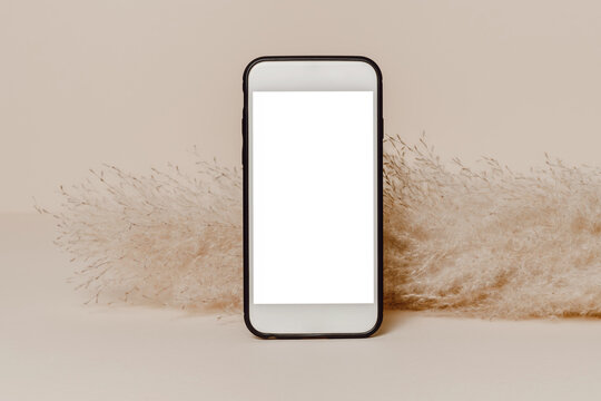 Empty mobile phone mockup with white screen and pampas grass at the background. Smartphone template background for design and branding, greeting and invitation, social media, website promotion