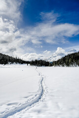 St. Moritz, Stazersee, Lej da Staz, Holzsteg, Stazerwald, Bergsee, Winter, Winterwanderweg, Schneedecke, Langlauf, Oberengadin, Piz Julier, Piz Albana, Alpen, Graubünden, Schweiz