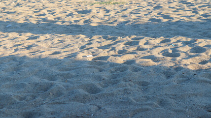 sand ripples in the sand