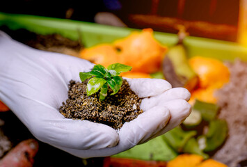 a women handling composting small plant