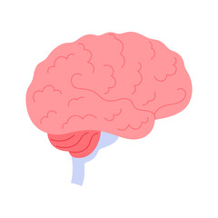 Human brain, medical chart to study function and structure of central nervous system vector illustration