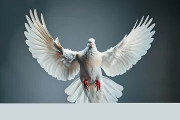 Zelfklevend Fotobehang a white bird with wings spread © White