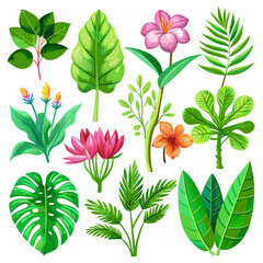 Exotic plants, including vibrant palm leaves and intricate monstera, adorn an isolated white background in this captivating watercolor vector illustration.