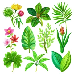 Stof per meter Tropische planten Exotic plants, including vibrant palm leaves and intricate monstera, adorn an isolated white background in this captivating watercolor vector illustration.