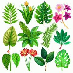 Keuken spatwand met foto Exotic plants, including vibrant palm leaves and intricate monstera, adorn an isolated white background in this captivating watercolor vector illustration. © CraftyAI Creations