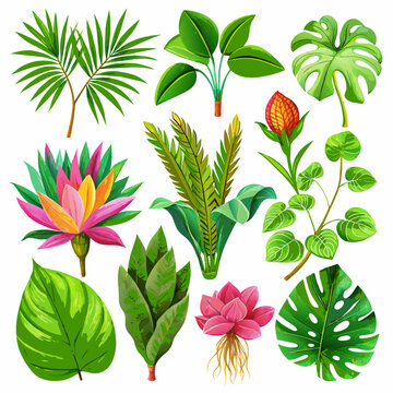 Exotic plants, including vibrant palm leaves and intricate monstera, adorn an isolated white background in this captivating watercolor vector illustration.