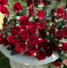 fake roses closeup bunch of fake roses