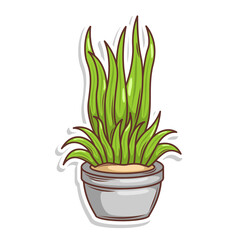 Home plant cartoon style. potted plant isolated on white
